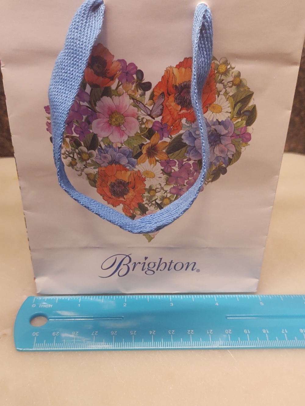 Brighton Small Gift Bag - Picture 4 of 5